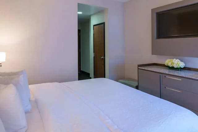 ハンプトン イン サンフランシスコ ダウンタウン / コンベンション センター-ルーム キングベッド 1 台 バリアフリー (Mobility & Hearing)-1