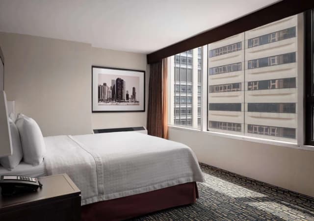 Homewood Suites by Hilton Chicago Downtown/Magnificent Mile-套房, 1 间卧室, 无烟房-2