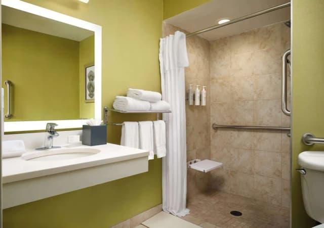 Homewood Suites by Hilton Chicago Downtown/Magnificent Mile-开间, 1 张特大床, 无障碍 (Roll-In Shower)-5