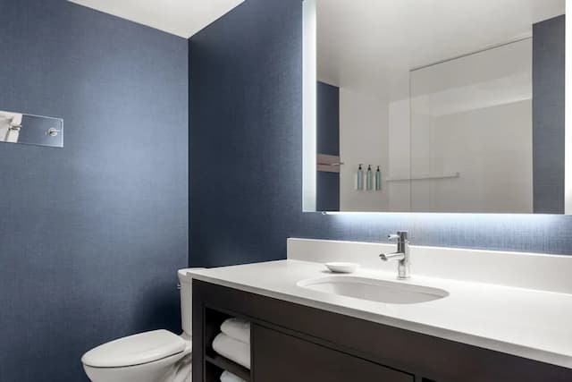 レジデンス イン ニューヨーク ザ ブロンクス アット メトロ センター アトリウム-スタジオ キングベッド 1 台ソファーベッド付き-3