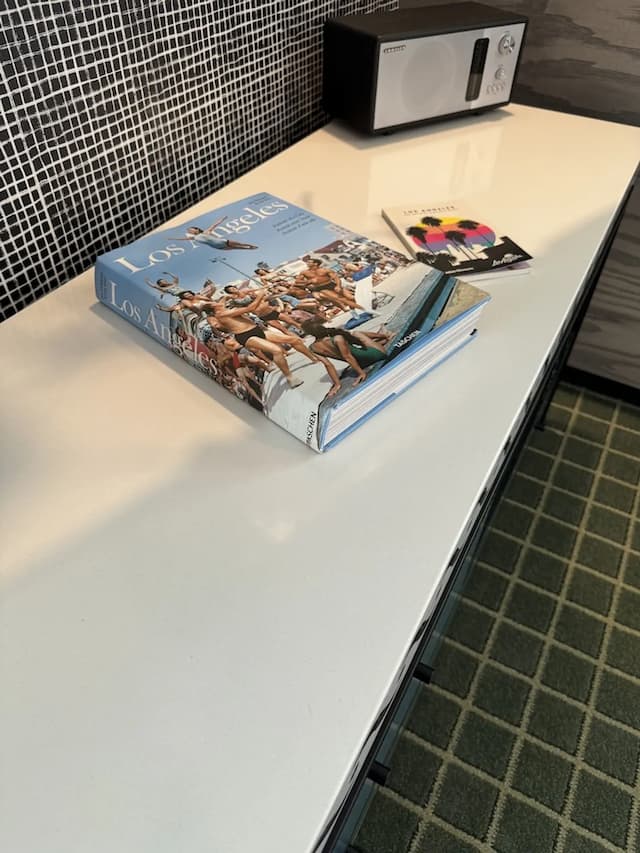 디 애들러 어 헐리우드 힐스 호텔-디자인 싱글룸-11