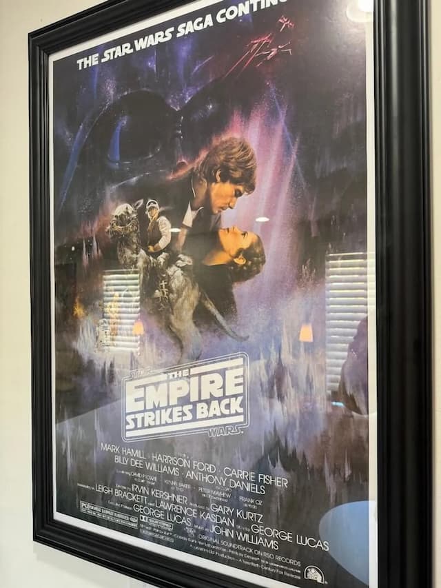 디 애들러 어 헐리우드 힐스 호텔-디자인 싱글룸-2