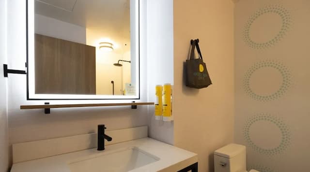 힐튼 브루클린 트루-룸, 킹사이즈침대 1개-7