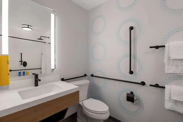 힐튼 브루클린 트루-룸, 퀸사이즈침대 2개, 장애인 지원 (Roll-In Shower Mobility & Hearing)-4