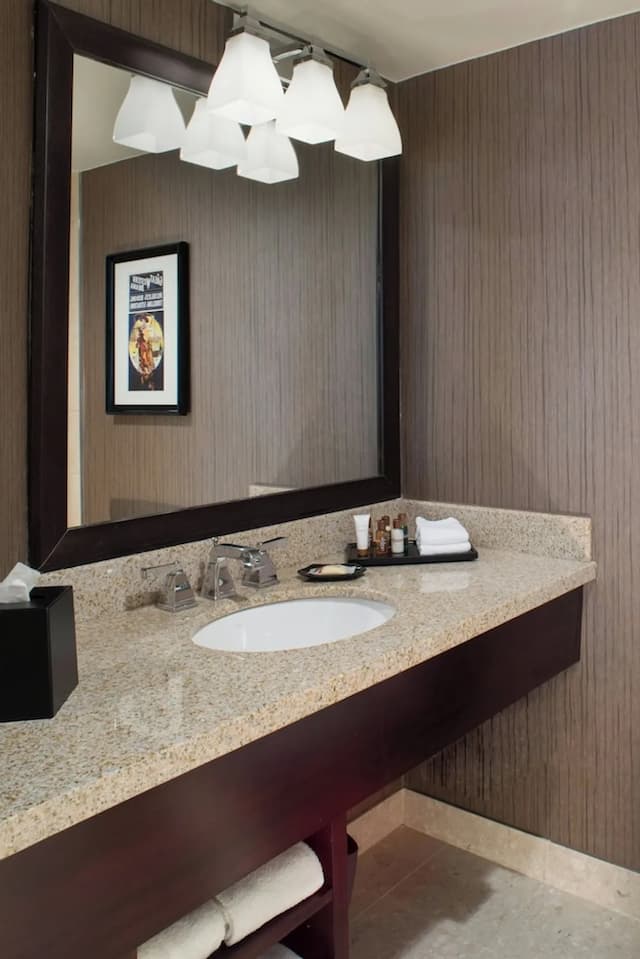 シェラトン・ノースヒューストン・ジョージブッシュインターコンチネンタル-クラシック ルーム キングベッド 1 台-8