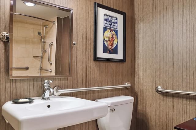 シェラトン・ノースヒューストン・ジョージブッシュインターコンチネンタル-クラシック ルーム キングベッド 1 台 (Mobility Accessible, Tub)-5