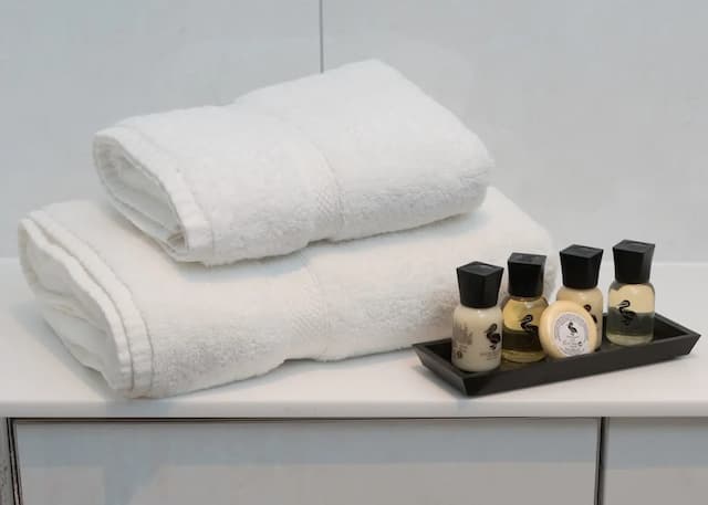 Camden Enterprise Hotel & Pub-Deluxe Double or Twin Room-4