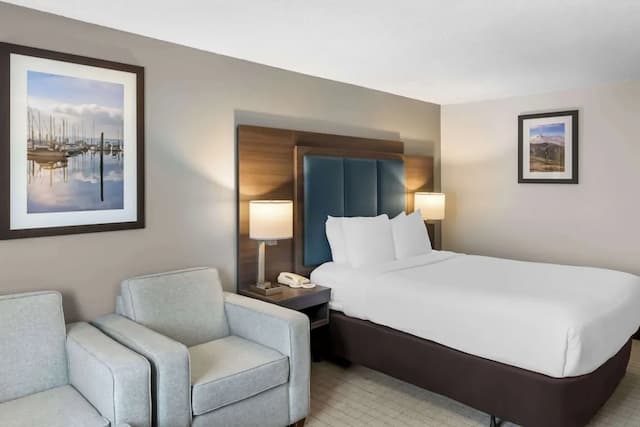 SureStay Hotel by Best Western SeaTac Airport North-标准房, 1 张特大床, 无烟房, 冰箱和微波炉 (with Sofabed)-4