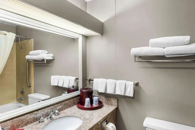 SureStay Hotel by Best Western SeaTac Airport North-标准房, 1 张大床, 无烟房-5