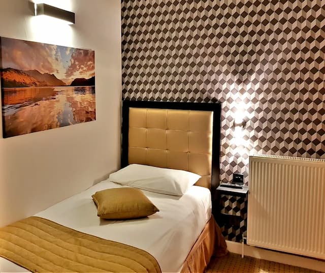 Duke of Leinster-Single Room-1