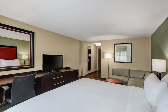 크라운 플라자 휴스턴 갤러리아 지역 바이 IHG-스탠다드룸, 킹사이즈침대 1개-7