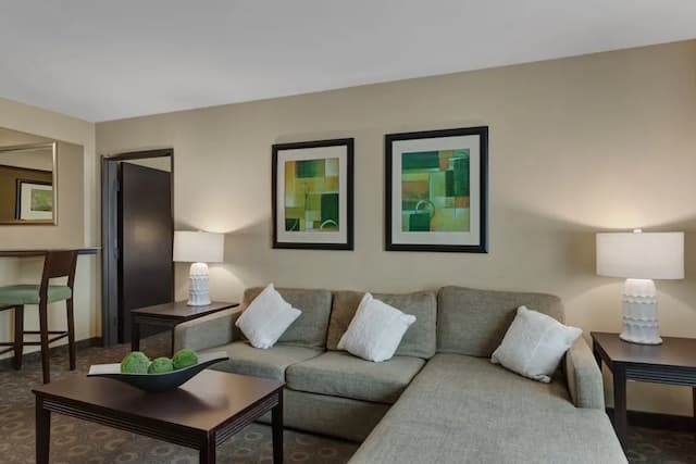 크라운 플라자 휴스턴 갤러리아 지역 바이 IHG-스위트, 킹사이즈침대 1개 및 소파베드 (1 Bedroom)-9