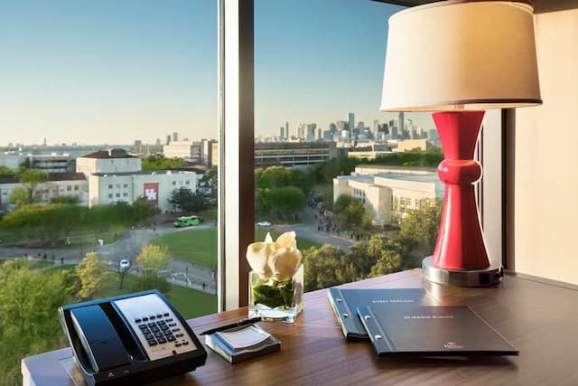 Hilton University of Houston-一张特大床-4