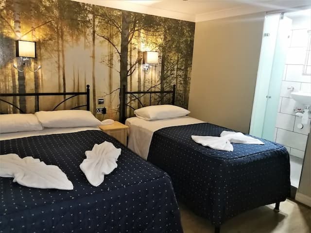 Central Hotel-Standard Twin Room, Ensuite-2