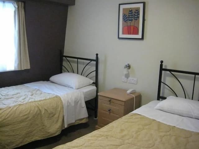 Central Hotel-Standard Twin Room, Ensuite-3