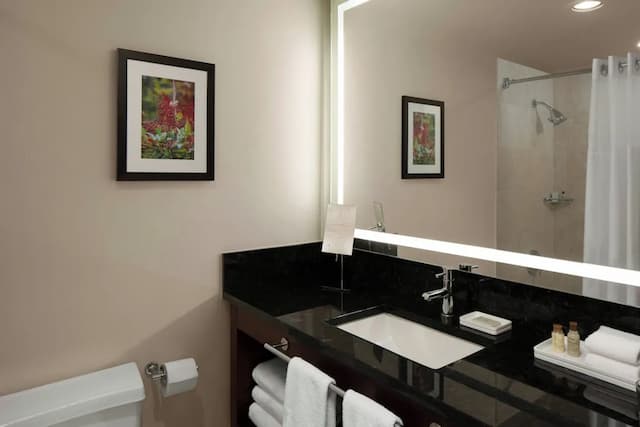 Renaissance Seattle Hotel-Deluxe Room, 2 Double Beds, City View-8