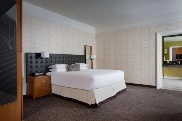 ホテル シカゴ ダウンタウン オートグラフ コレクション バイ マリオット-デラックス ルーム キングベッド 1 台 シティビュー-2