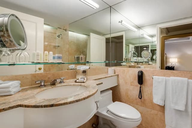 Omni Berkshire Place-Premier Room, 1 King Bed (Skyline View)-12