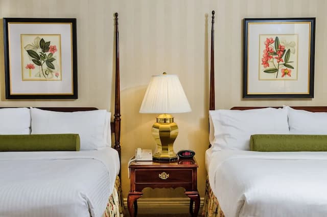 메이플라워 파크 호텔-클래식룸, 퀸사이즈침대 2개-2