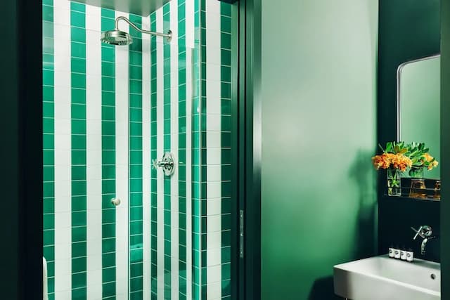 펠리호텔 시애틀-디럭스룸, 킹사이즈침대 1개 (The King Studio ADA Roll-In Shower)-6