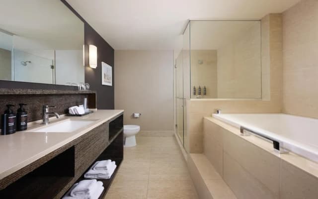 The Royal Sonesta Chicago River North-套房, 1 间卧室 (Spa Suite)-6