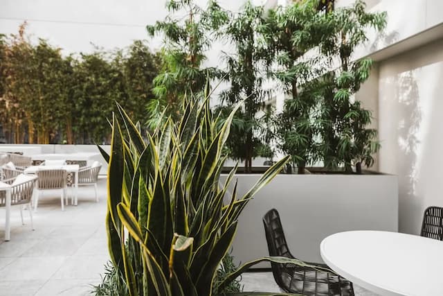 The Godfrey Hotel Hollywood-Element Lounge Access, Garden Terrace King-1