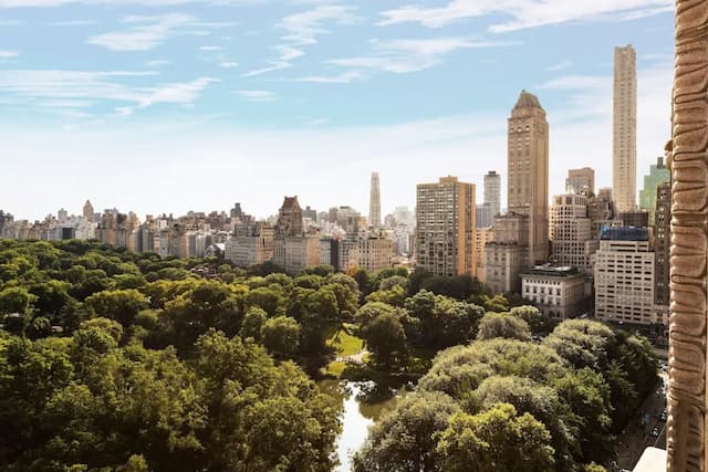 The Ritz-Carlton New York, Central Park-Royal Suite, 2 Bedrooms, Club Lounge Access, Park View-18