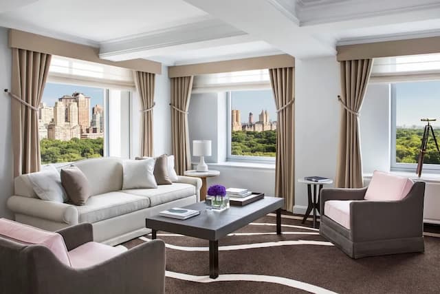 The Ritz-Carlton New York, Central Park-Premier Suite, 1 King Bed with Sofa bed-5