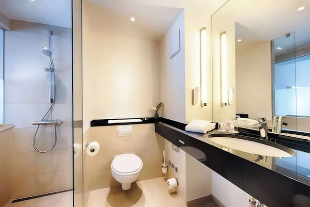 Best Western Plus Welcome Hotel Frankfurt-Superior Room, 1 Queen Bed-5