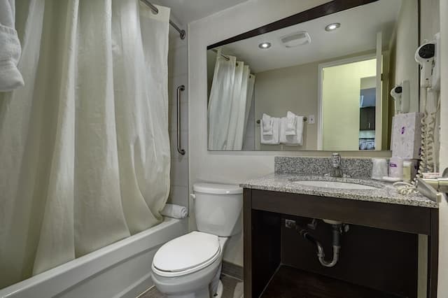 타운 인 스위트 호텔-디럭스 스위트, 침실 1개-5