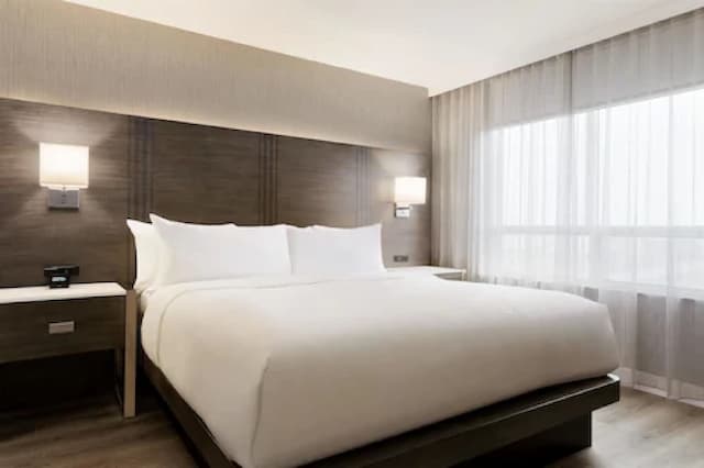 Embassy Suites by Hilton Toronto Airport-Suite, 1 King Bed-2