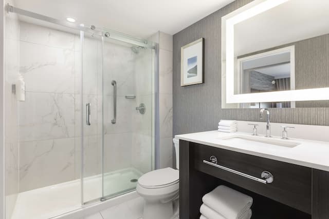 Embassy Suites by Hilton Toronto Airport-Suite, 1 King Bed-14