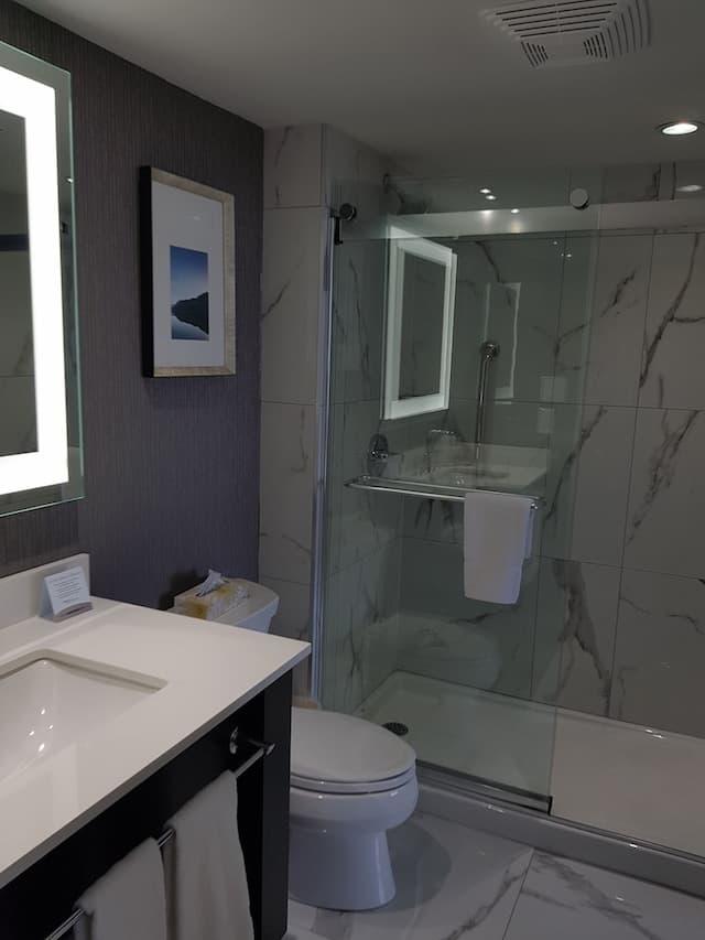 Embassy Suites by Hilton Toronto Airport-Suite, 1 King Bed-12