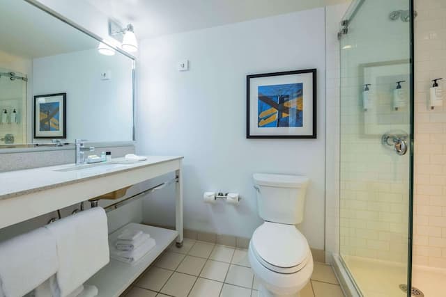 그랜드 파크 호텔 밴쿠버 에어포트, 어센드 컬렉션 호텔-스탠다드룸, 킹사이즈침대 1개, 금연-3