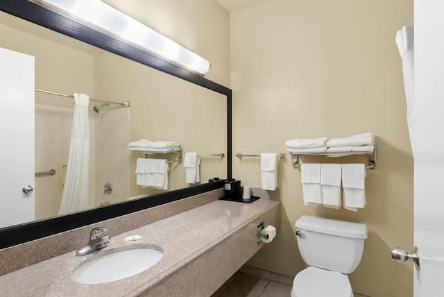 퀄리티 스위트 휴스턴 NW 사이-페어-스위트, 퀸사이즈침대 2개, 금연-11