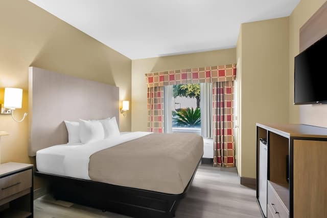 퀄리티 스위트 휴스턴 NW 사이-페어-스위트, 킹사이즈침대 1개 및 소파베드, 금연-12