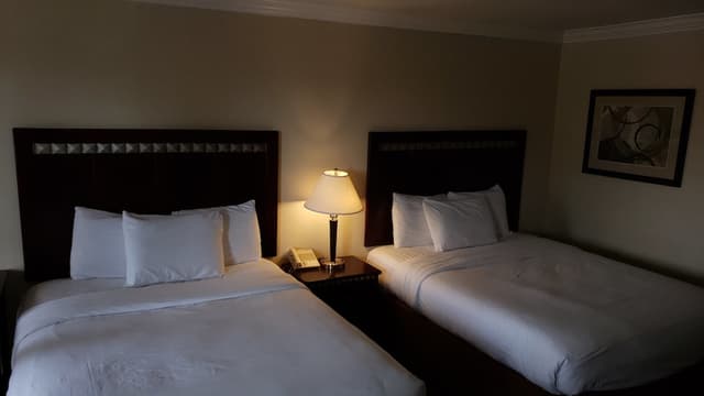 Oak Tree Inn-Standard Room, 2 Queen Beds, Non Smoking-3