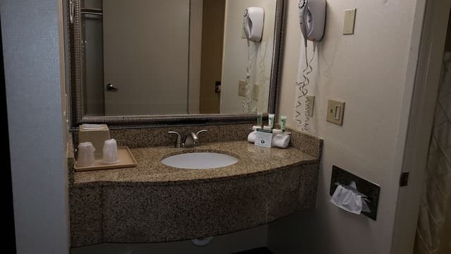 Oak Tree Inn-Deluxe Room, 1 King Bed, Non Smoking-5