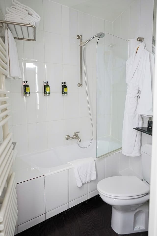 호텔 엘리제 리젠시아-클래식룸, 마당-2