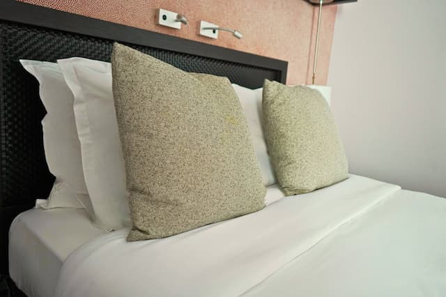 호텔 엘리제 리젠시아-클래식룸, 마당-4