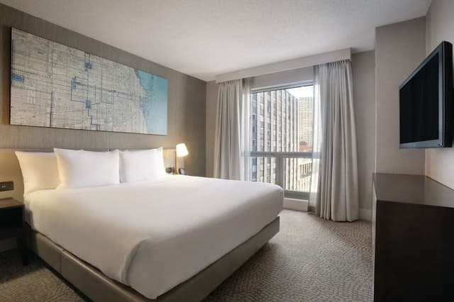Hilton Chicago/Magnificent Mile Suites-套房, 1 张特大床, 无烟房-10