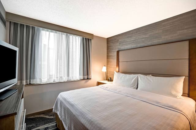 Homewood Suites by Hilton Chicago-Downtown-套房, 1 张特大床和 1 张沙发床, 城市景观-8