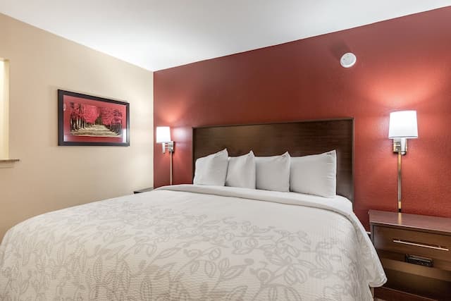 레드 루프 인 플러스+ & 스위트 휴스턴 - IAH 에어포트 SW-디럭스룸, 킹사이즈침대 1개 (Smoke Free)-3