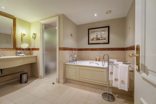 인터컨티넨탈 암스텔 암스테르담 바이 IHG-프리미엄룸, 싱글침대 2개, 시내 전망-5