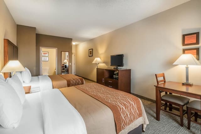 컴포트 인 & 스위트 시애틀 노스-스탠다드룸, 퀸사이즈침대 2개, 금연-1