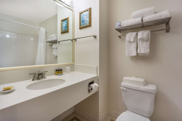 베스트 웨스턴 플러스 파이어니어 스퀘어 호텔 다운타운-스탠다드룸, 퀸사이즈침대 1개, 금연 (Small Room)-5