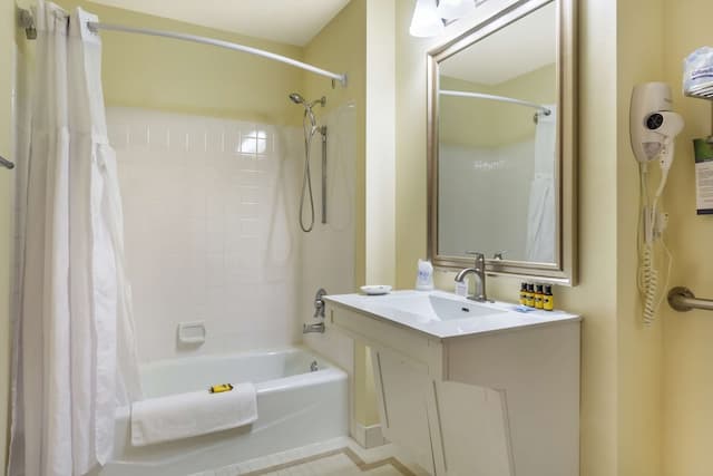 베스트 웨스턴 플러스 파이어니어 스퀘어 호텔 다운타운-스탠다드룸, 더블침대 1개, 장애인 지원, 욕조-3