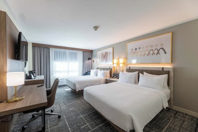 크라운 플라자 휴스턴 갤러리아 지역 바이 IHG-스탠다드룸, 퀸사이즈침대 2개-20