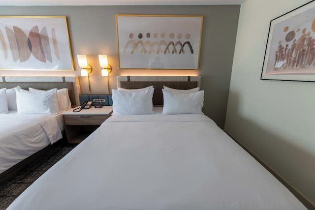 크라운 플라자 휴스턴 갤러리아 지역 바이 IHG-스탠다드룸, 퀸사이즈침대 2개-18