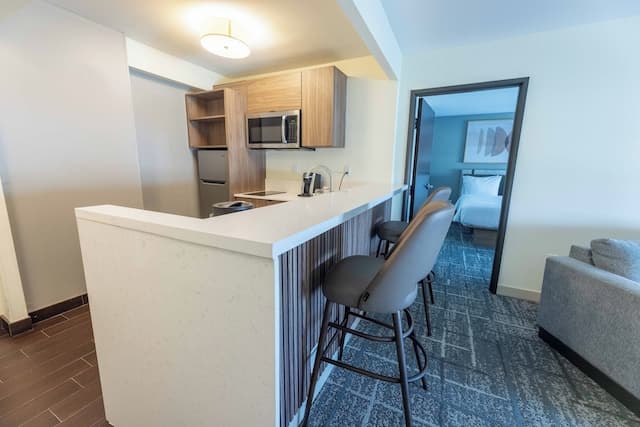 크라운 플라자 휴스턴 갤러리아 지역 바이 IHG-스위트, 킹사이즈침대 1개 및 소파베드 (1 Bedroom)-26